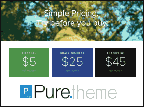 Preview of pure_theme